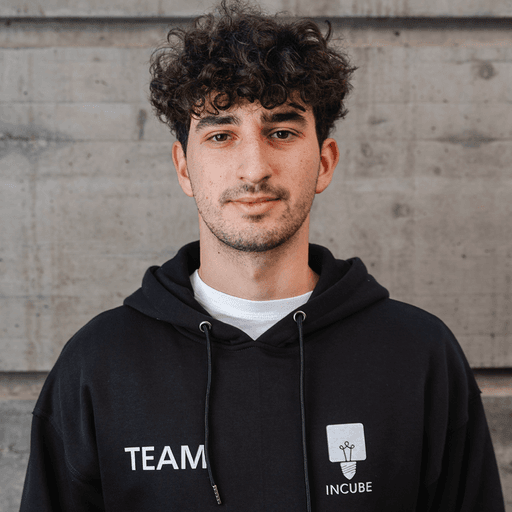 Team Member: Andrei Culerda